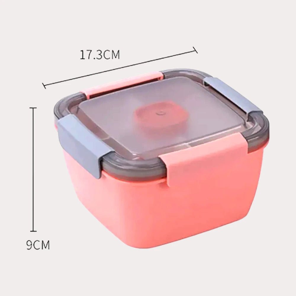 1100Ml/1500Ml Portable Lunch Box Container 2 Layer Grid Salad Bowl Bento Boxes Salad Bowls Lunch Box Lunch Container for Food - CheffyCorner