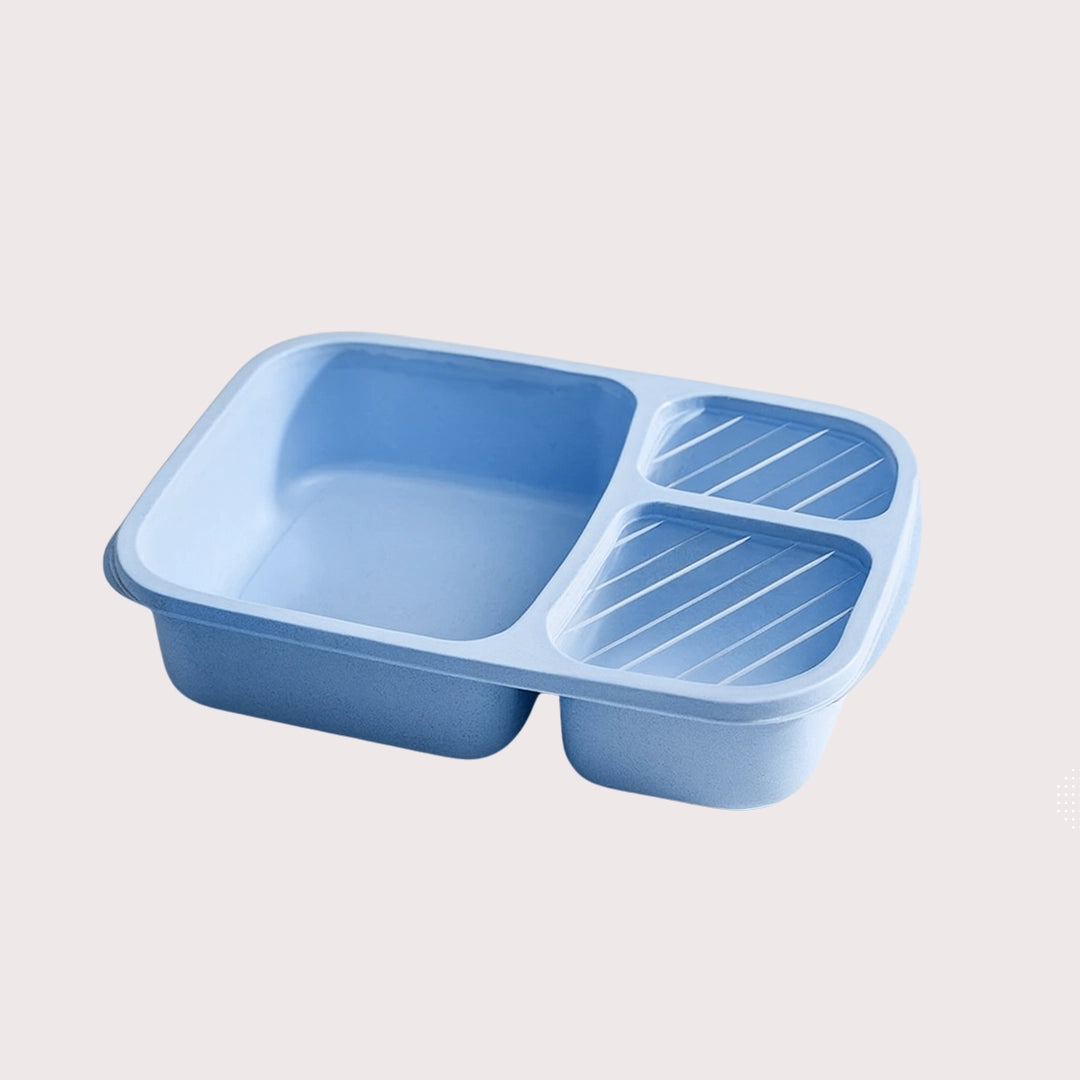 Leakproof Bento Lunch Box for Kids & Adults | Shop Now
